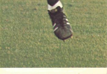 1973 Scanlens VFL #48 Max Robertson Back